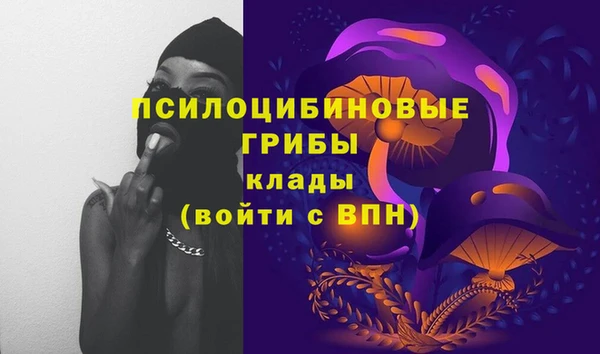 шишки Армянск