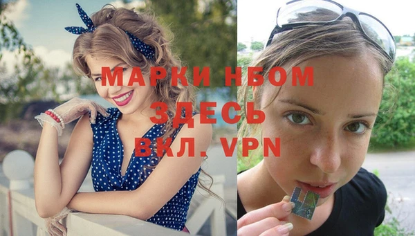 сатива Арсеньев