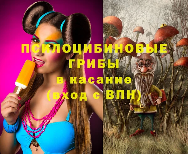 сатива Арсеньев