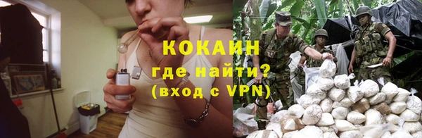 PSILOCYBIN Киренск