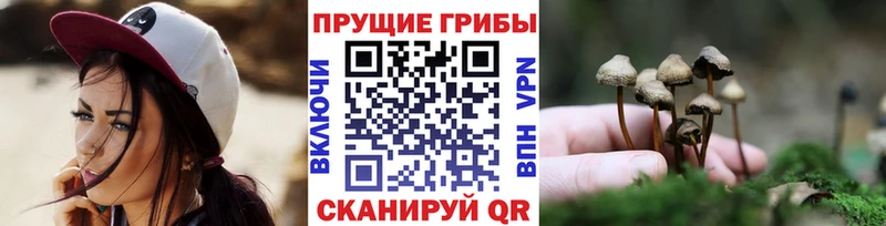 Псилоцибиновые грибы MAGIC MUSHROOMS Кологрив